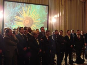 phoca_thumb_l_dsc09171