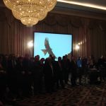 phoca_thumb_l_dsc09228